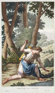 Narciso en una flor o Narciso al Fonte, Libro III, ilustración de 